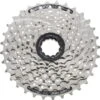 Shimano Cassette CS-HG41-8 11